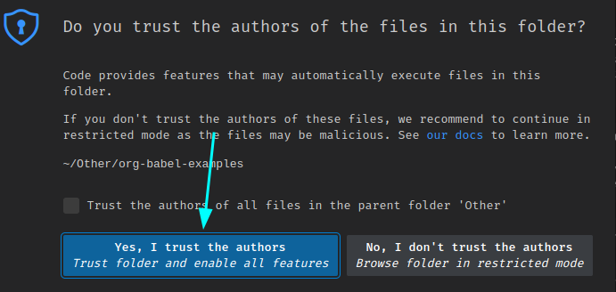 VS-Code screenshot showing how to enable all editor features